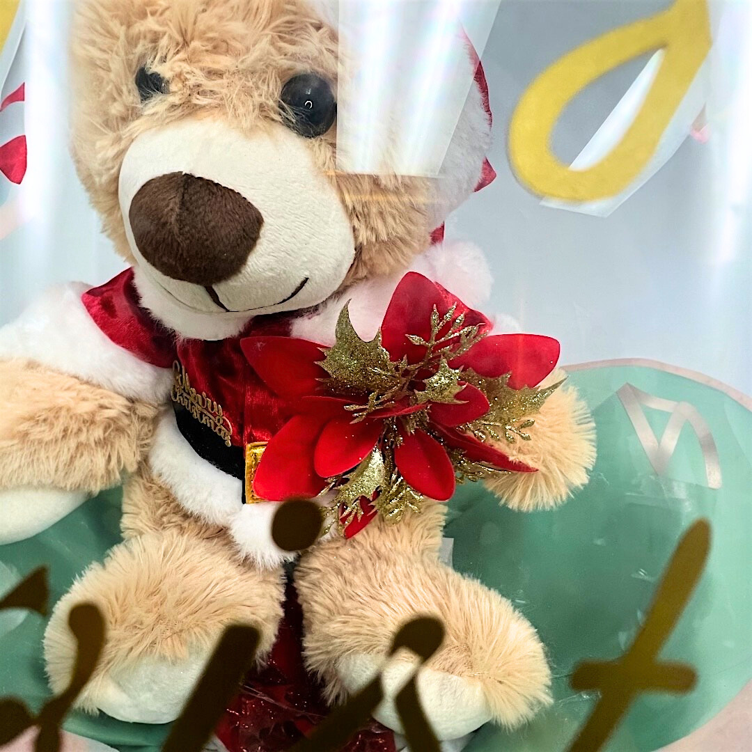 Merry Magic Bear Christmas