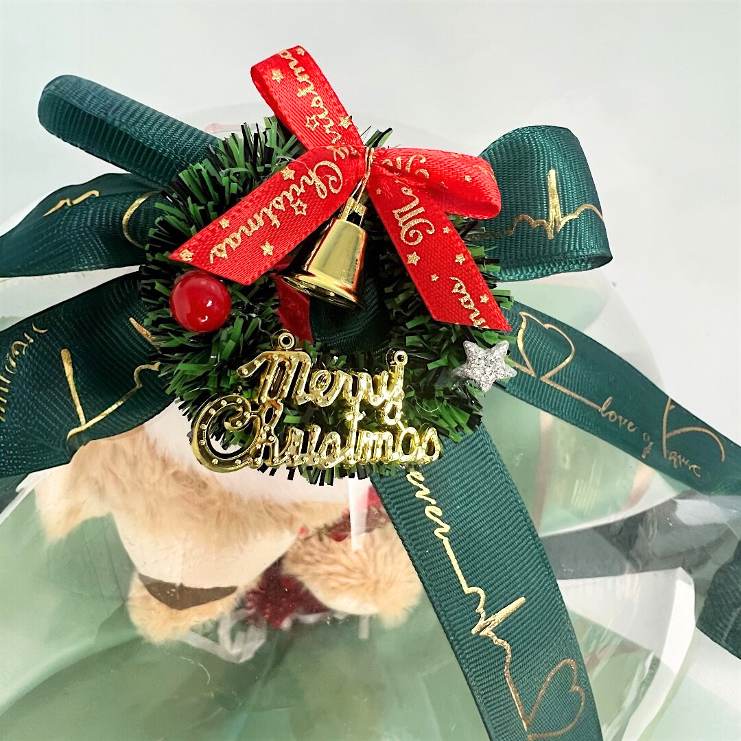 Merry Magic Bear Christmas