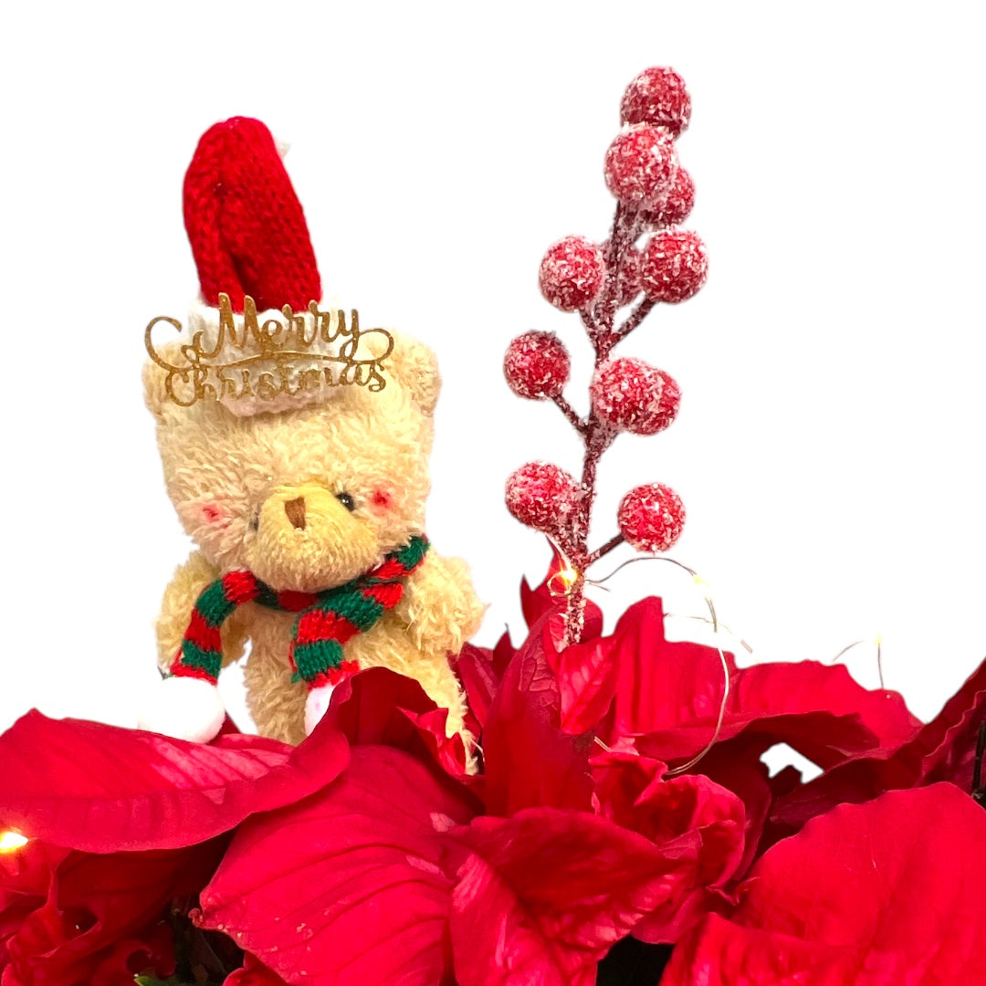 Merry Magic Poinsettia Pot Close up
